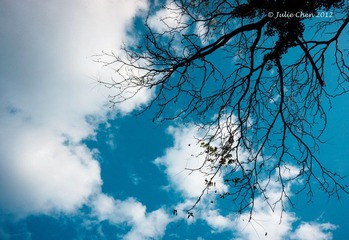 DSC00784-2.jpg