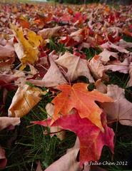 DSC00985.jpg