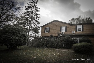 DSC01129-2.jpg
