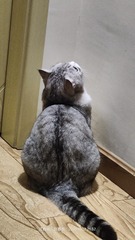 1000012642