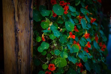 L1003076-9.jpg