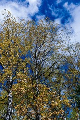 L1002430.jpg