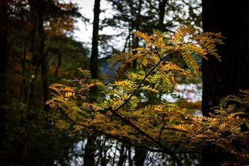 L1002481.jpg