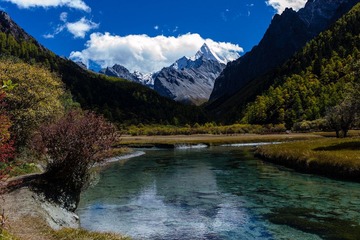 L1003425.jpg