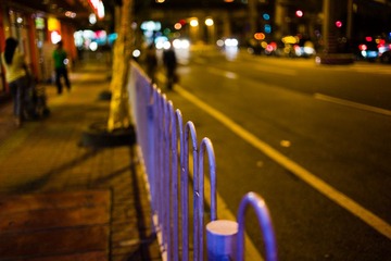 L1003748.jpg