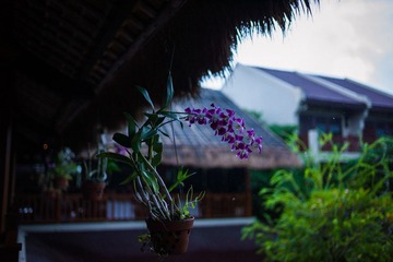 L1001873.jpg