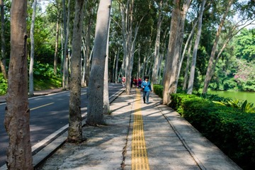 L1003972.jpg