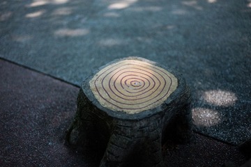 L1004018.jpg