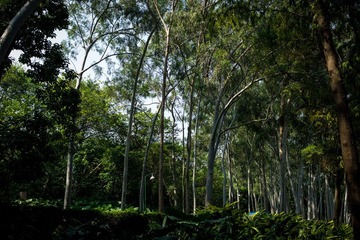 L1004031.jpg
