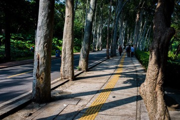 L1004034.jpg