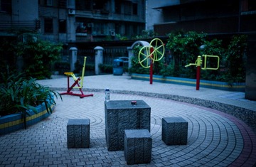 L1004113.jpg