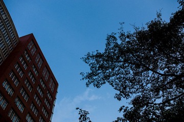 L1004216.jpg
