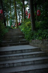 L1004433.jpg