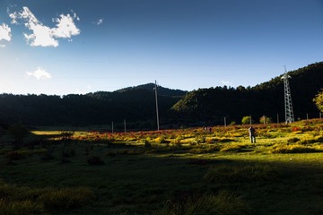 L1003527.jpg