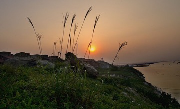_DSC3808.jpg