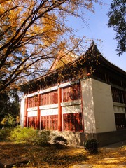 DSC08744_副本.jpg