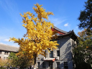 DSC08616_副本.jpg