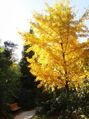 DSC08647_副本.jpg