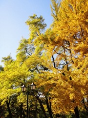 DSC08686_副本.jpg