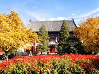 DSC08725_副本.jpg
