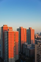DSC_2763-编辑-编辑-编辑.jpg