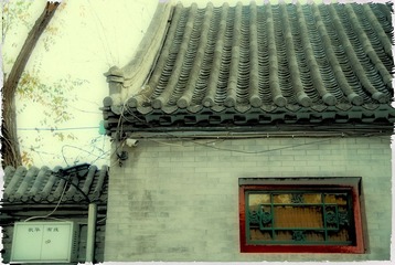 DSC_2676-编辑-编辑.jpg