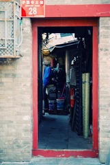 DSC_2670-编辑-2-编辑-编辑-编辑.jpg