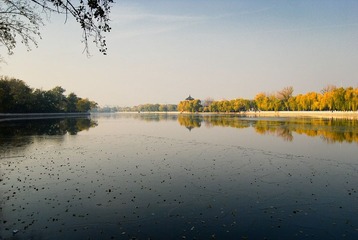 DSC_2822-编辑-编辑-编辑-编辑.jpg