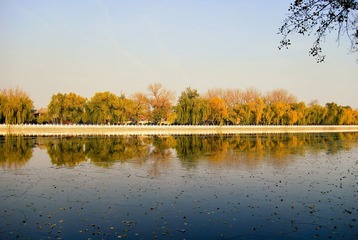 DSC_2824-编辑-编辑-编辑.jpg