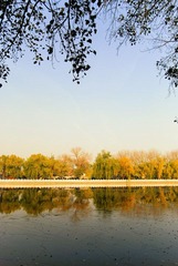 DSC_2831-编辑-编辑-编辑.jpg
