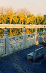 DSC_2832-编辑-编辑-编辑-编辑.jpg