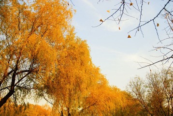 DSC_2843-编辑.jpg