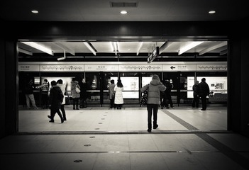 DSC_3181-编辑.jpg