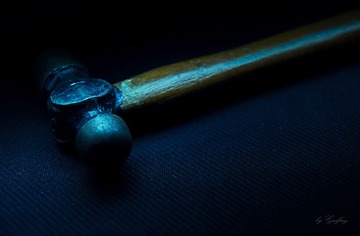 DSC_3897.jpg