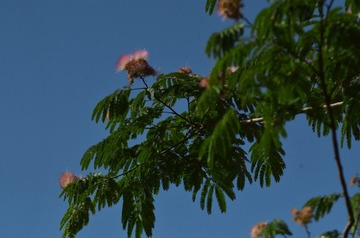 120285