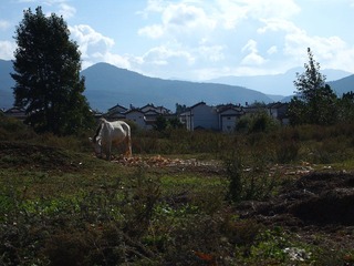 PA295467.JPG
