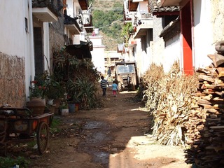 PA295477.JPG