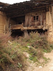 PA194272.JPG