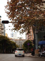 PB146331.JPG