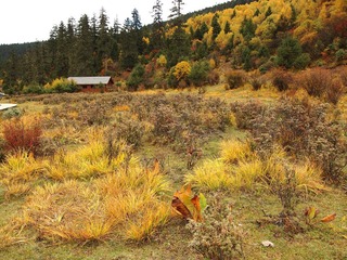 PA163614.JPG