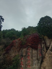 1000075363