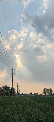 1000012433