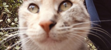 1000010609