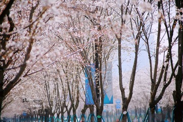 2D8B455B-1A15-45C7-BC30-7DA1E65B6199/L0/001