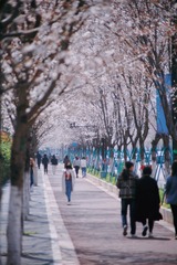 43050EF5-BD82-40CE-B8B0-5B106DF1090D/L0/001