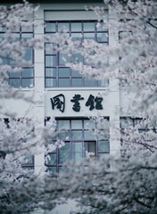 FD46F026-3A49-4D38-BB68-9EA24F5AA0A6/L0/001
