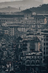 1000009313