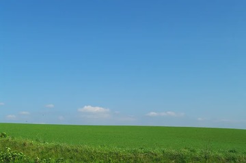 1000034648