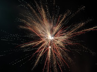 1000054305