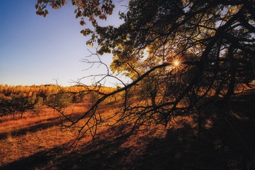 DSCF9504